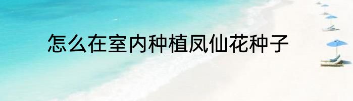 怎么在室内种植凤仙花种子