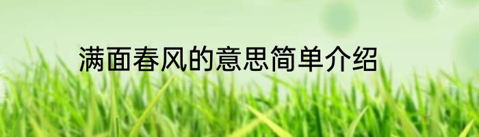 满面春风的意思简单介绍