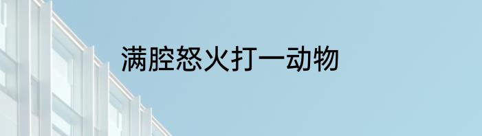满腔怒火打一动物