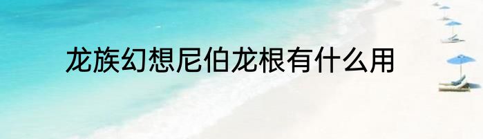 龙族幻想尼伯龙根有什么用