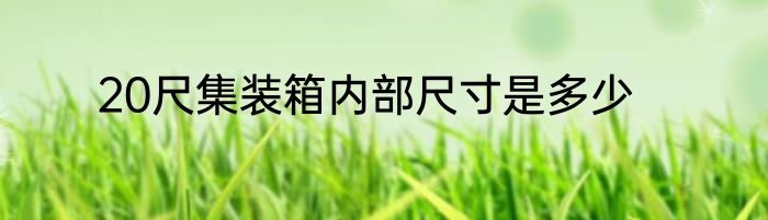 20尺集装箱内部尺寸是多少