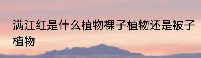 满江红是什么植物裸子植物还是被子植物