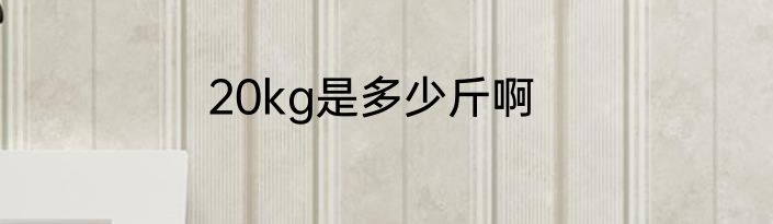 20kg是多少斤啊
