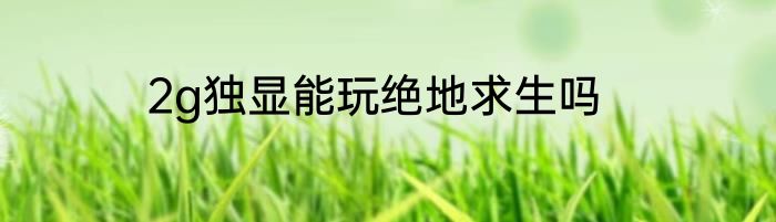 2g独显能玩绝地求生吗