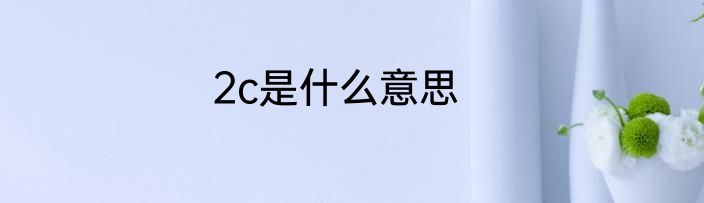 2c是什么意思
