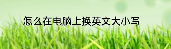 怎么在电脑上换英文大小写