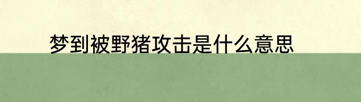 梦到被野猪攻击是什么意思