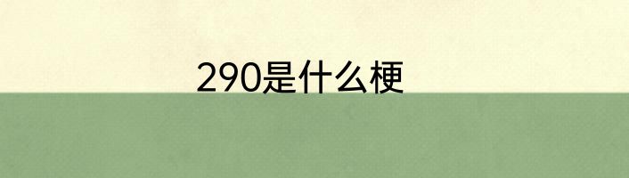 290是什么梗