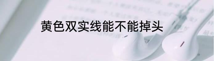 黄色双实线能不能掉头