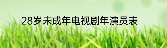 28岁未成年电视剧年演员表