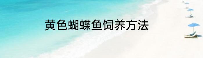 黄色蝴蝶鱼饲养方法