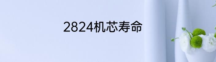 2824机芯寿命