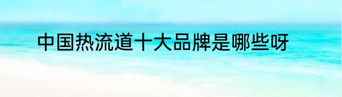 中国热流道十大品牌是哪些呀