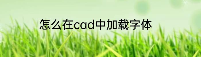 怎么在cad中加载字体