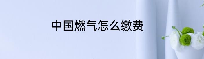 中国燃气怎么缴费
