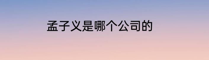 孟子义是哪个公司的