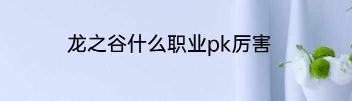龙之谷什么职业pk厉害