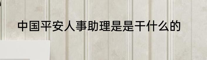 中国平安人事助理是是干什么的