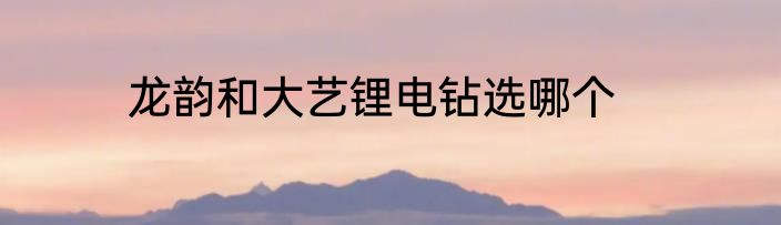 龙韵和大艺锂电钻选哪个