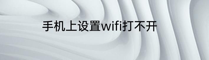 手机上设置wifi打不开
