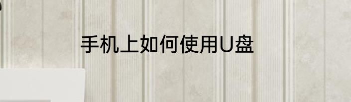 手机上如何使用U盘
