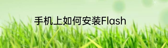 手机上如何安装Flash