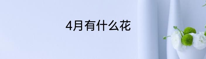 4月有什么花