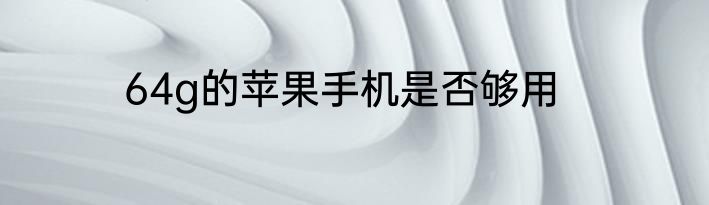 64g的苹果手机是否够用