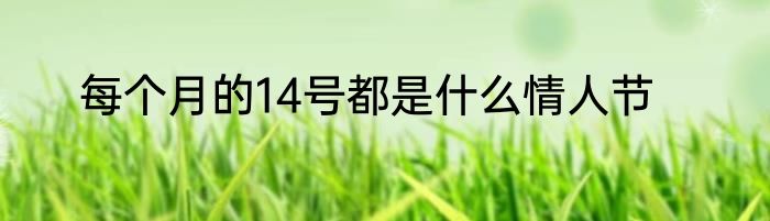 每个月的14号都是什么情人节