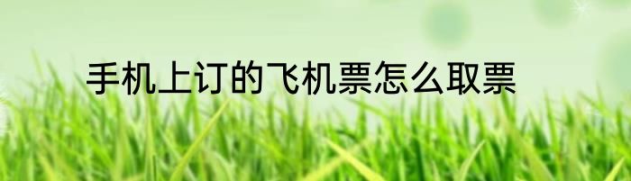 手机上订的飞机票怎么取票