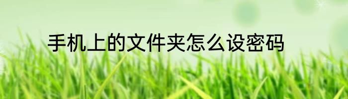 手机上的文件夹怎么设密码