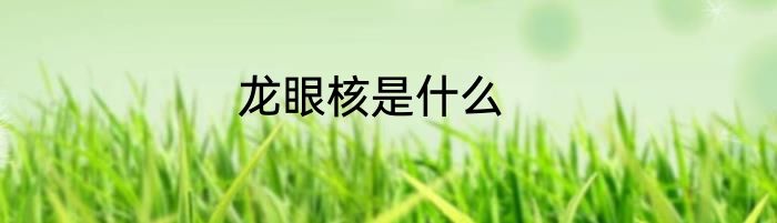 龙眼核是什么