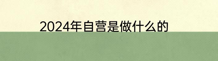 2024年自营是做什么的