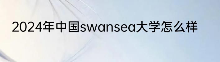 2024年中国swansea大学怎么样