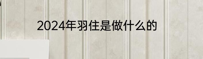 2024年羽住是做什么的