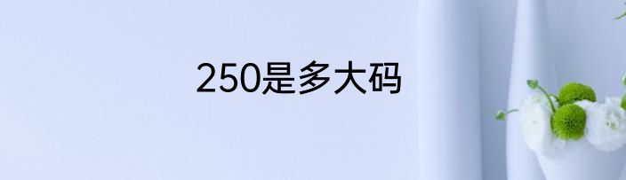 250是多大码