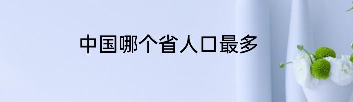 中国哪个省人口最多