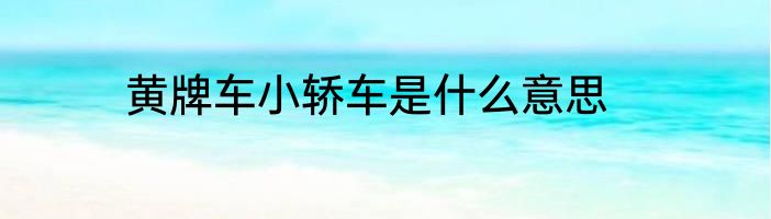 黄牌车小轿车是什么意思