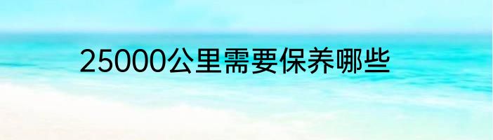 25000公里需要保养哪些