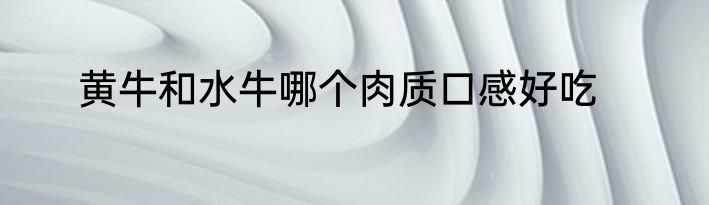 黄牛和水牛哪个肉质口感好吃