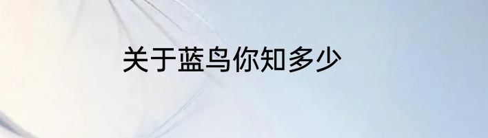 关于蓝鸟你知多少