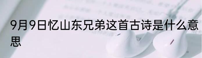 9月9日忆山东兄弟这首古诗是什么意思