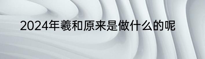 2024年羲和原来是做什么的呢