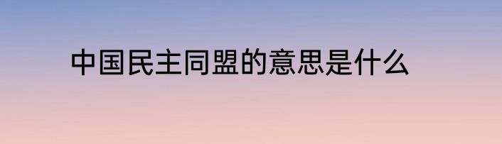 中国民主同盟的意思是什么