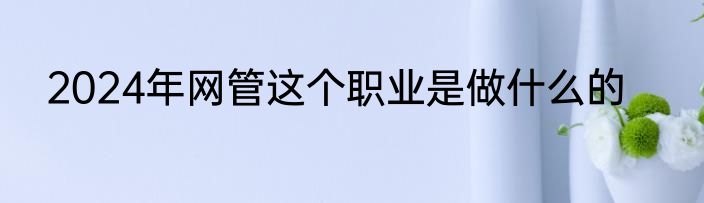 2024年网管这个职业是做什么的