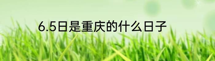 6.5日是重庆的什么日子