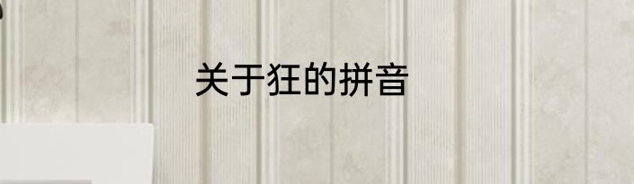 关于狂的拼音