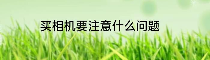 买相机要注意什么问题