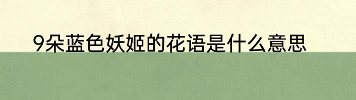 9朵蓝色妖姬的花语是什么意思