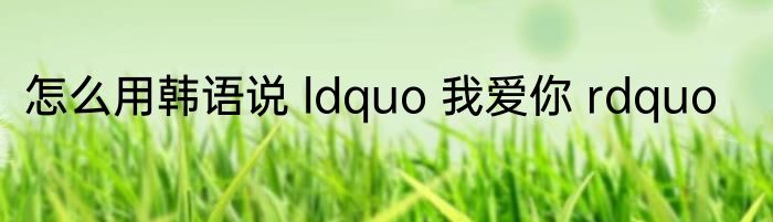 怎么用韩语说 ldquo 我爱你 rdquo